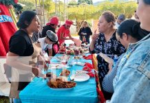 Foto: Festival Gastronómico Departamental en Boaco destaca lo mejor de la cocina navideña/TN8