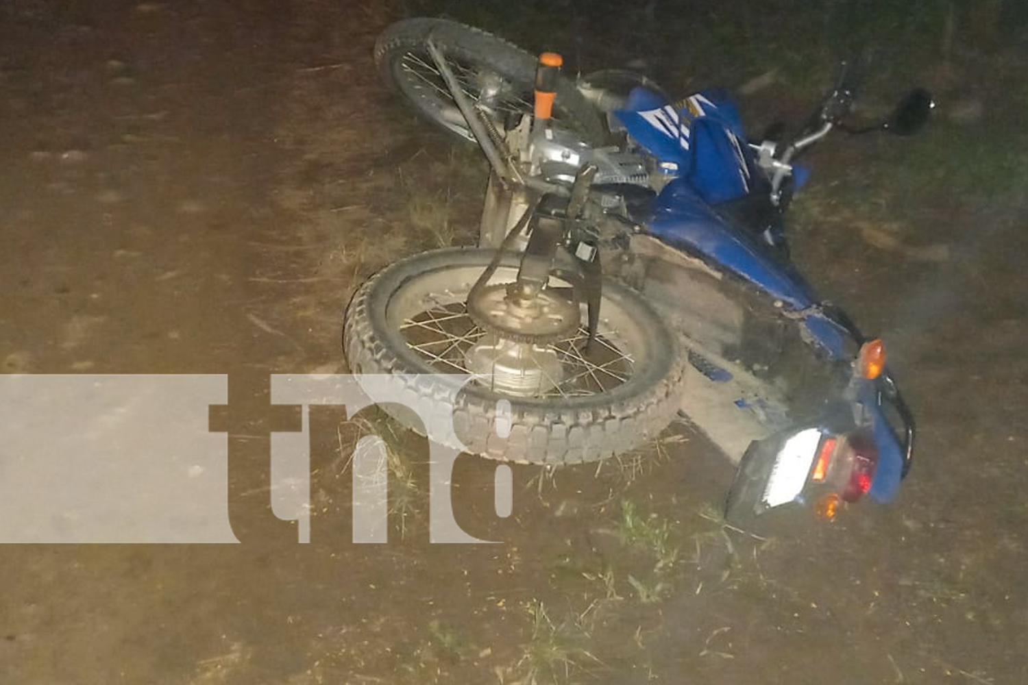 Foto: Animales en la vía pública, un peligro constante en Jalapa. Conductor impacta contra una vaca en carretera y su vehículo sufre daños /TN8