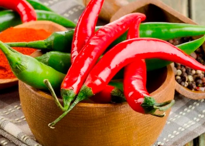 Foto: comer chiles se asociaba con un menor riesgo de muerte/Cortesía