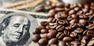 Foto: Factores climáticos y geopolíticos elevan precios del café mundialmente