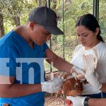 Foto: Universidad Nacional Agraria CUR Juigalpa lanza Escuela de Producción Avícola