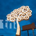 Foto: El árbol amarillo en Nejapa representa la vida, la luz y el legado de los héroes que ofrendaron sus vidas por la libertad de Nicaragua./TN8