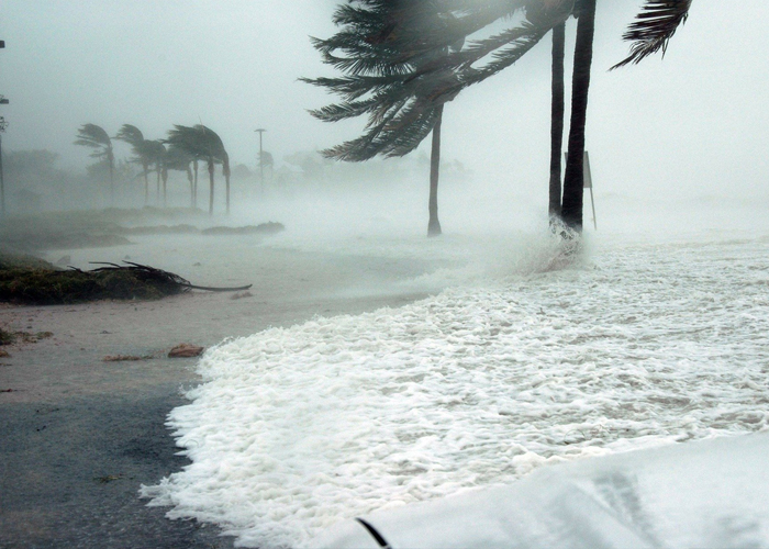 Foto: Alerta en México /cortesía 