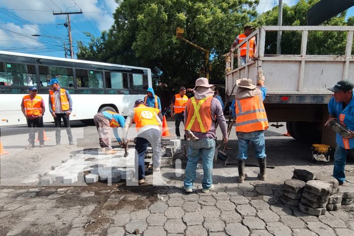 Foto: El Presupuesto 2025 incluye mejoras en mercados, transporte colectivo y ornato. ¡Por una Managua más ordenada y limpia!/TN8