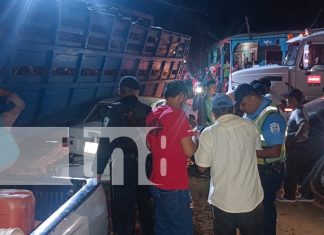 Foto: Un camión cargado de frutas de palma africana pierde el control en Wapi, dejando taxis dañados, una vivienda afectada y un herido/TN8