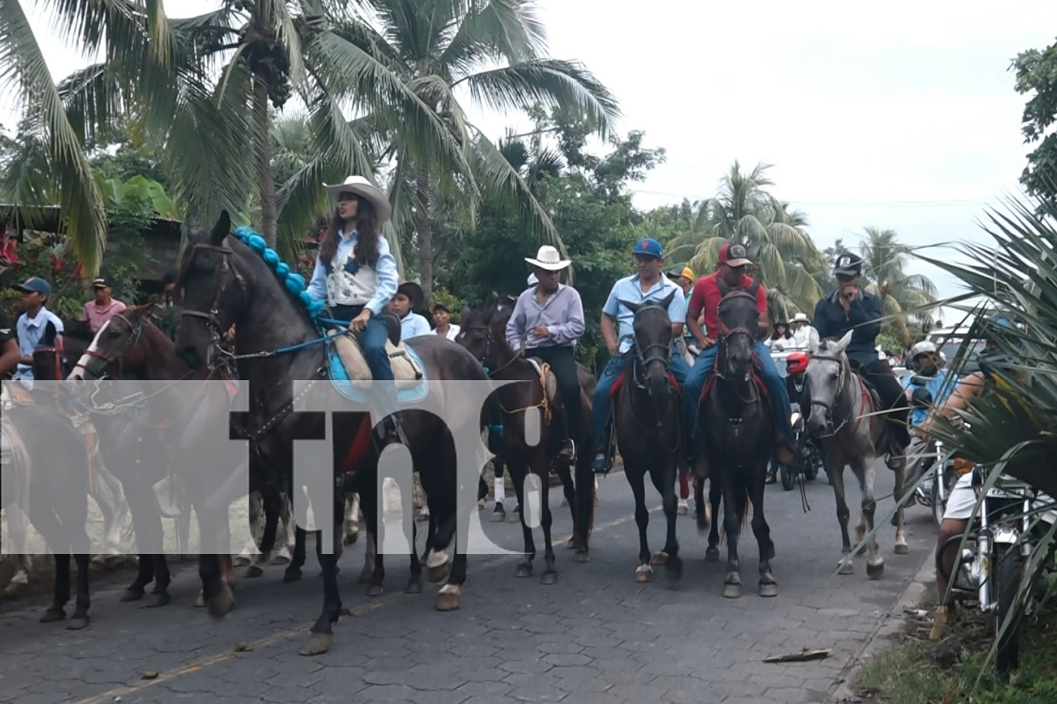 Foto: Corridas de toros, música y cultura se viven en Altagracia hasta el 17 de noviembre. ¡No te pierdas el festival del Zompopo!/TN8