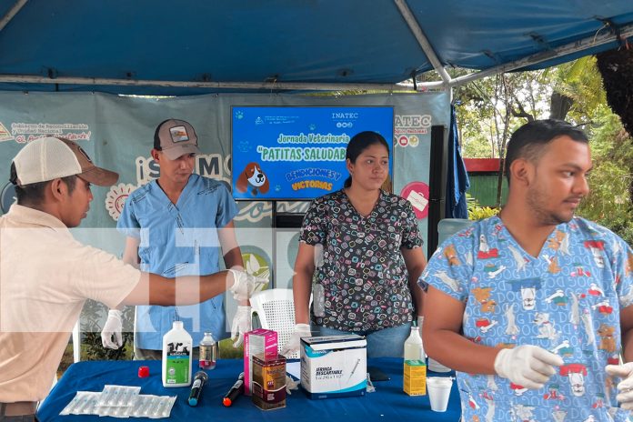 Foto: “Patitas Saludables” en Juigalpa: estudiantes de Veterinaria brindaron atención gratuita a perros, gatos y aves/TN8