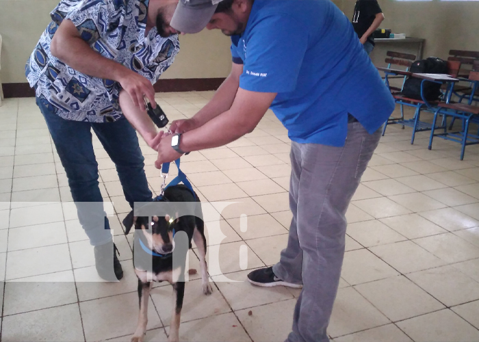 Foto: Nandaime realiza jornada quirúrgica /TN8