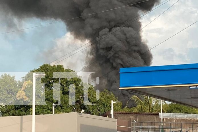 Foto: Una humilde vivienda de madera y zinc fue destruida por un incendio en Chinandega. Vecinos y autoridades trabajaron para evitar mayores daños/TN8