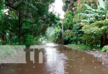 Foto: autoridades de la Isla de Ometepe se mantienen activadas/Cortesía