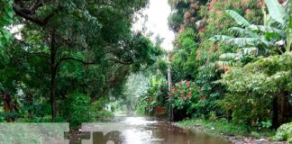 Foto: autoridades de la Isla de Ometepe se mantienen activadas/Cortesía