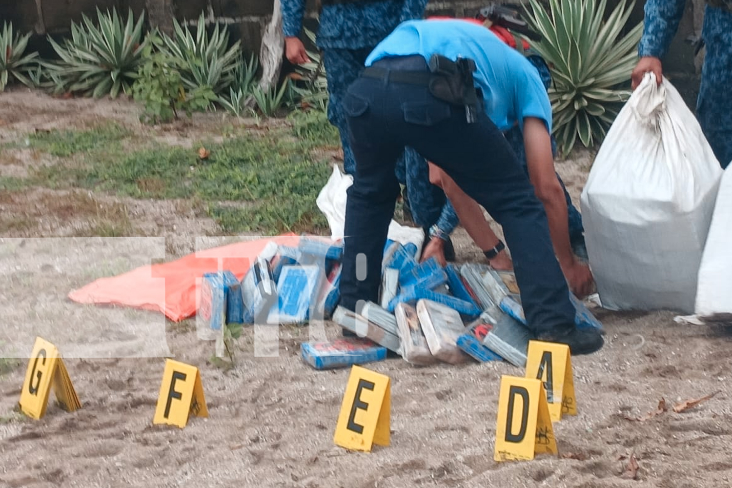 Foto: En menos de 8 días, la Fuerza Naval suma otro logro: 151 tacos de droga incautados al sur de Masachapa. ¡Otro golpe al narcotráfico!/TN8