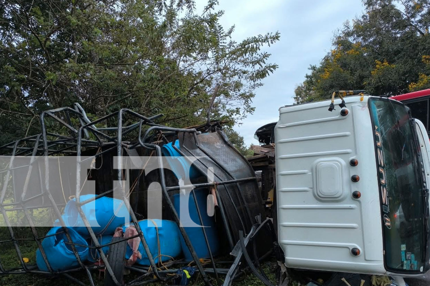 Foto: Camión lechero impacta contra un bus en Nueva Guinea /TN8