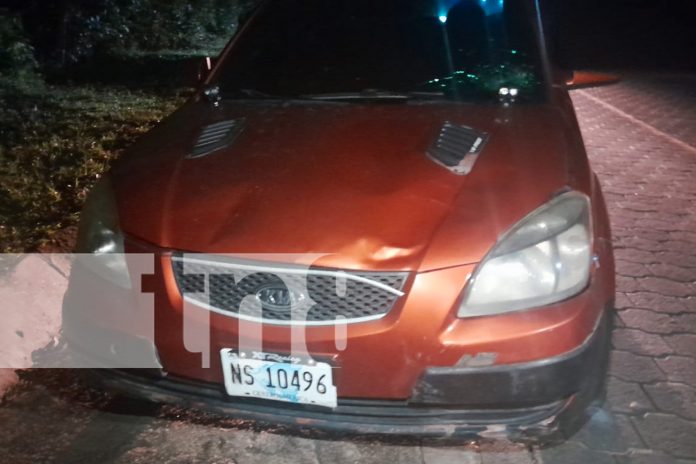 Foto: Animales en la vía pública, un peligro constante en Jalapa. Conductor impacta contra una vaca en carretera y su vehículo sufre daños /TN8