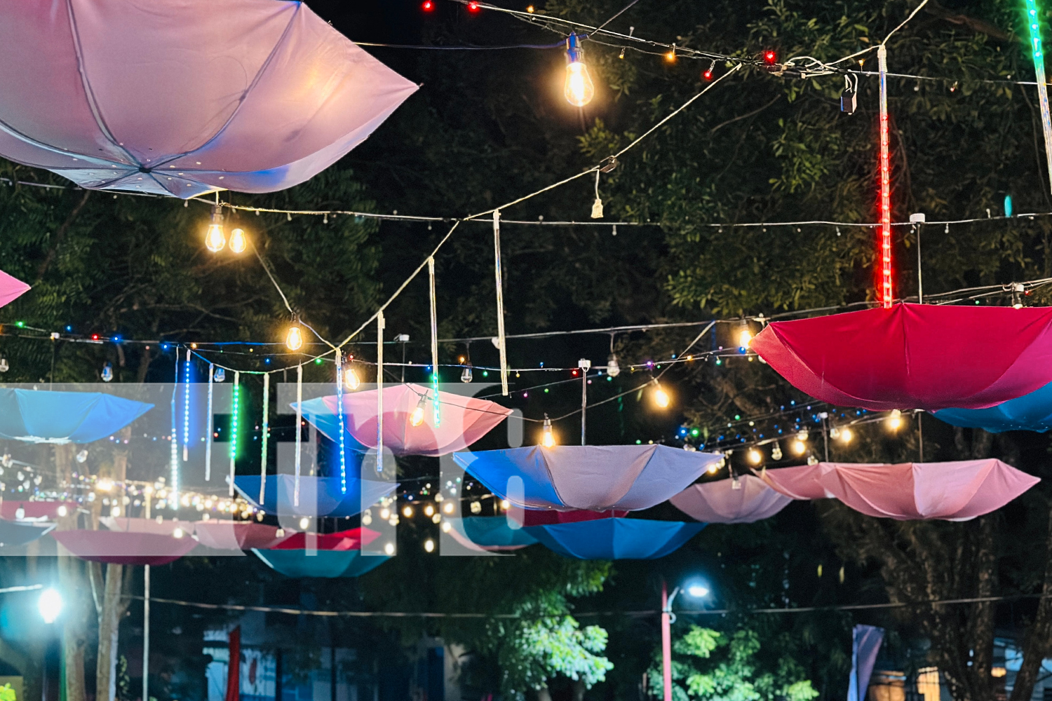 Foto: Palacagüina brilla esta Navidad con el Parque Miguel Ángel Ortez lleno de luces, ambientes temáticos y gastronomía local. /TN8