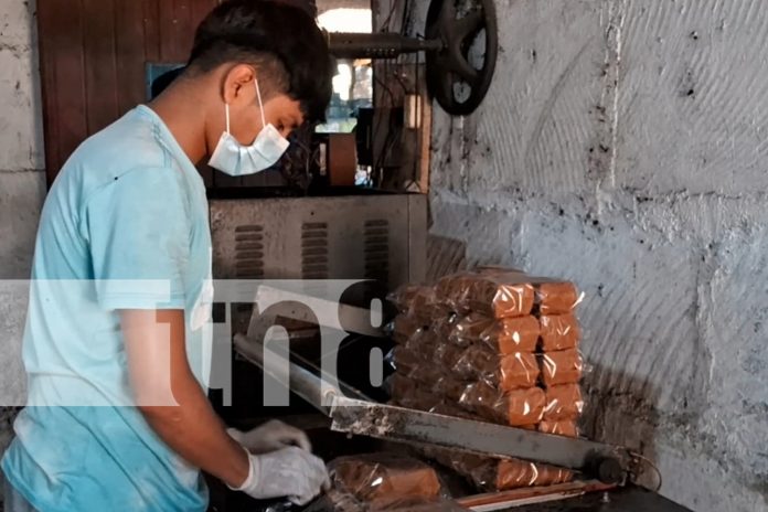 Foto: La Panela de Dulce: Tradición viva en la celebración de La Gritería en Nicaragua/TN8