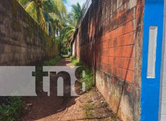 Foto: “el callejón de Lucho”, ubicado a una cuadra y media al norte del Consejo Electoral Regional en Bilwi/TN8