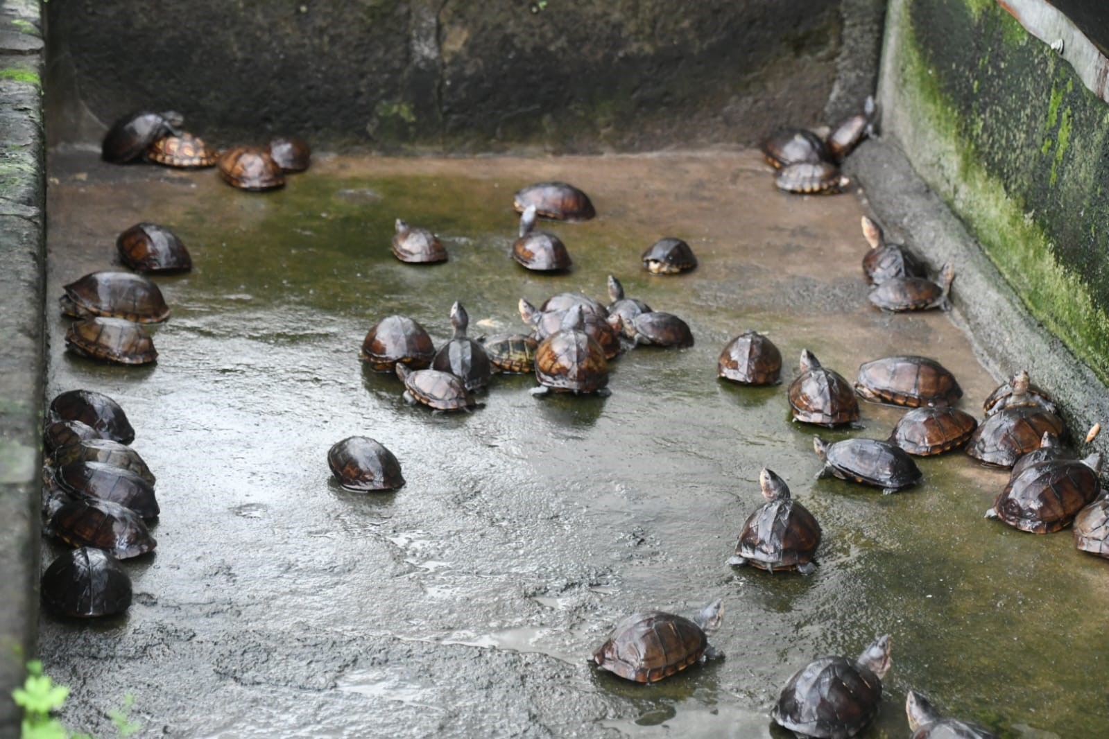 Foto: MARENA impulsa iniciativas de economía ambiental en pro de la biodiversidad