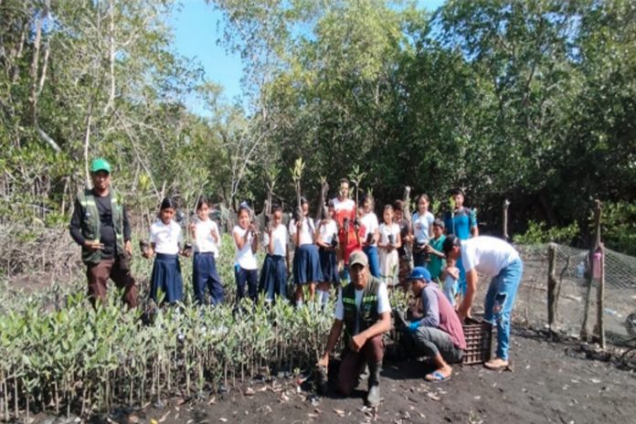 Foto: MARENA reporta avances significativos en la reforestación/Cortesía