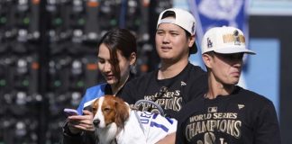 shohei, ohtani, dodgers, angeles,