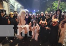 Foto: León se viste de gala con hermoso carnaval /TN8