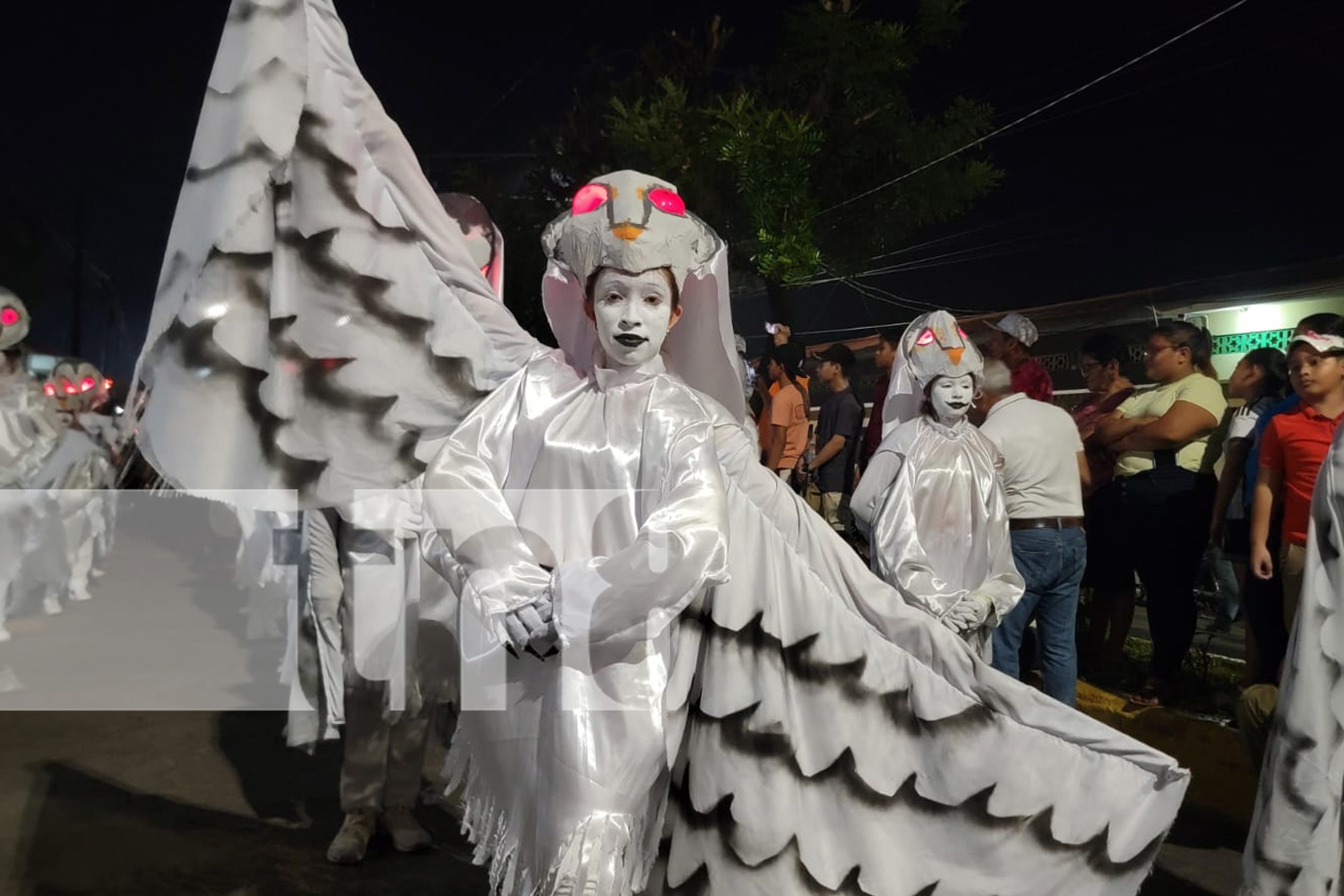 Foto: León se viste de gala con hermoso carnaval /TN8