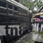 Foto: Árbol cae sobre un bus en Chinandega / TN8