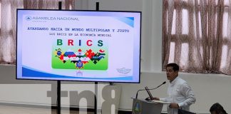 Foto: Origen y función del bloque de países BRICS /TN8