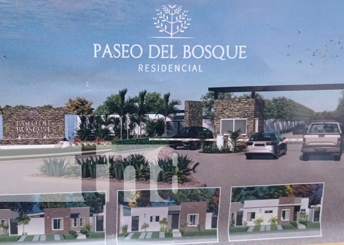 Foto: Condominio Paseo del Bosque Residencial, en Veracruz / TN8