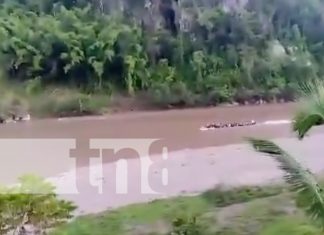 Foto: Vuelco de bote en el Río Coco / TN8