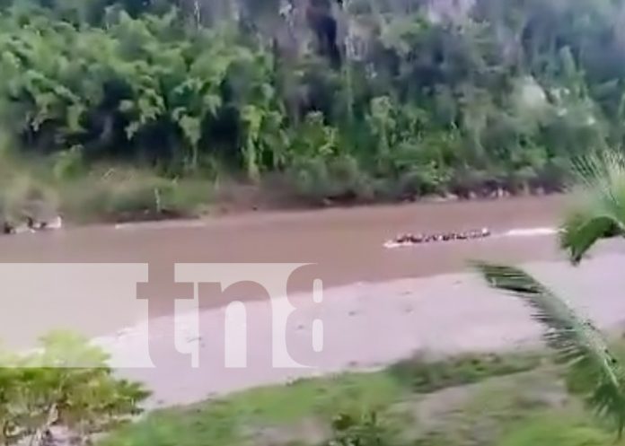 Foto: Vuelco de bote en el Río Coco / TN8