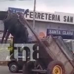 Foto: Caballo recibe maltrato por un carretonero en Masaya / TN8