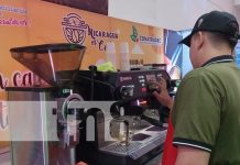 Foto: Nicaragua con el mejor café del mundo / TN8