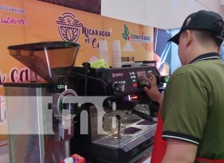 Foto: Nicaragua con el mejor café del mundo / TN8