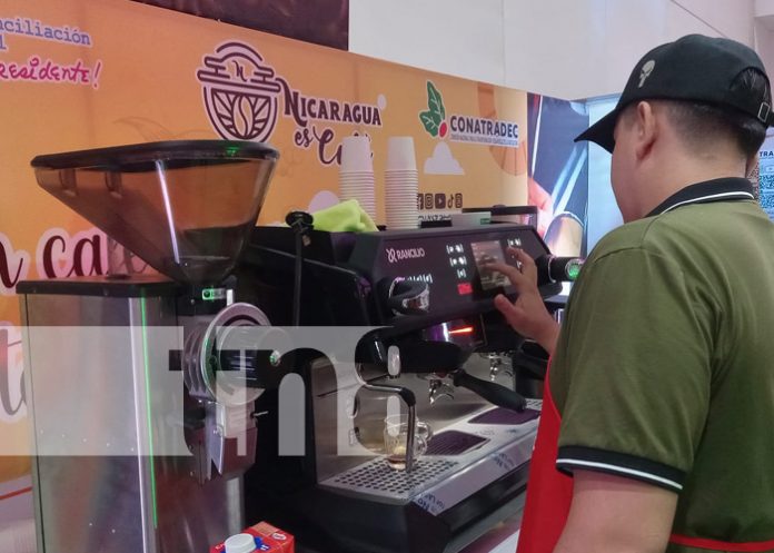 Foto: Nicaragua con el mejor café del mundo / TN8