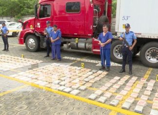 Foto: Policía Nacional desmantela red de narcotráfico /TN8