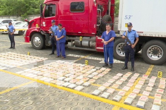 Foto: Policía Nacional desmantela red de narcotráfico /TN8