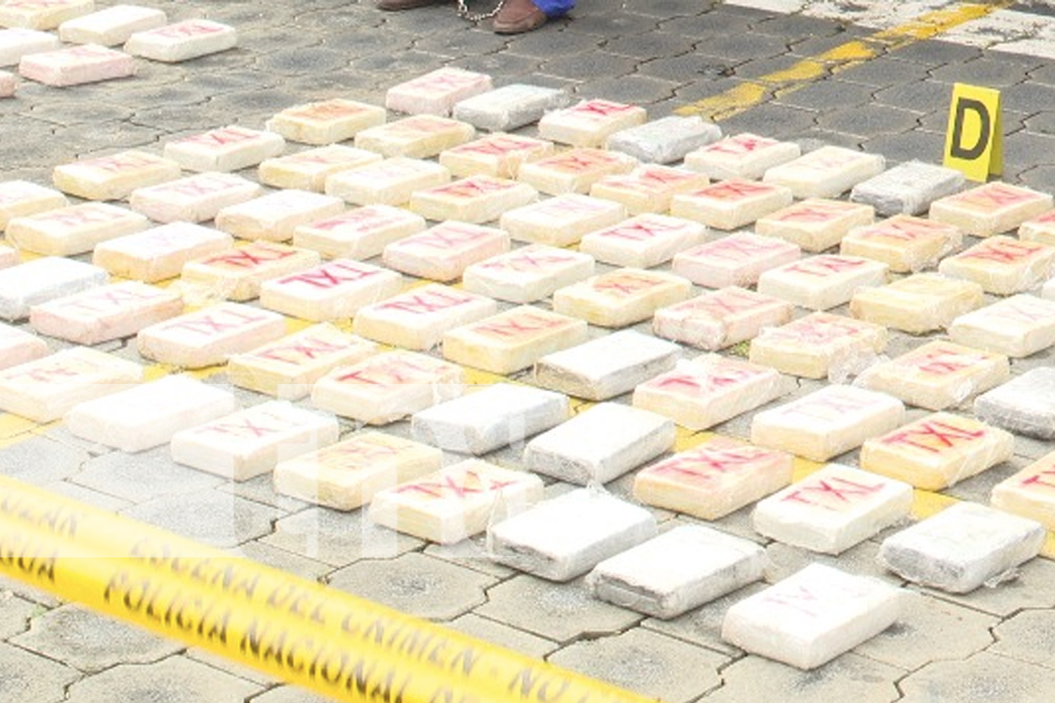 Foto: Policía Nacional desmantela red de narcotráfico /TN8