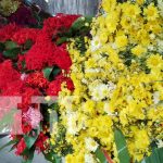 Foto: Feria de flores en Granada / TN8