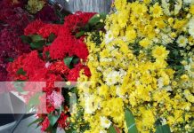 Foto: Feria de flores en Granada / TN8