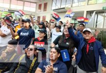 Foto: Celebración por Casimiro Sotelo / TN8