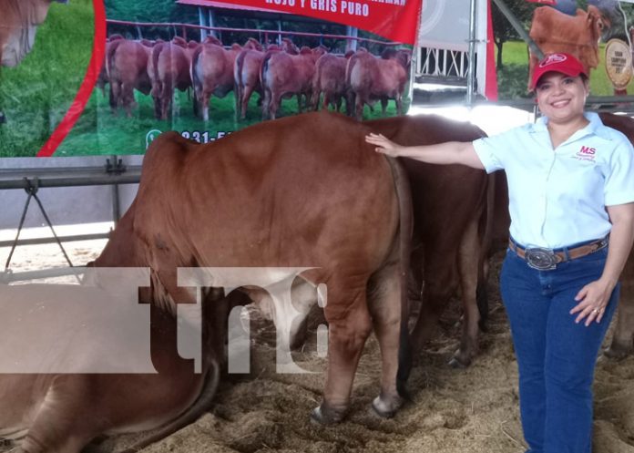 Foto: Feria Ganadera 2024 / TN8