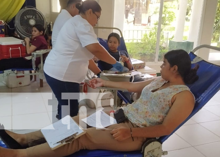 Foto: Donación de sangre desde URACCAN Triángulo Minero / TN8