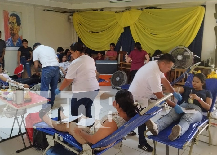 Foto: Donación de sangre desde URACCAN Triángulo Minero / TN8