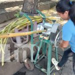 Foto: Jugo de caña, o guarapo, emprendimiento nuevo en Managua / TN8