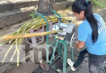 Foto: Jugo de caña, o guarapo, emprendimiento nuevo en Managua / TN8