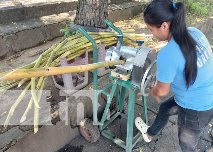 Foto: Jugo de caña, o guarapo, emprendimiento nuevo en Managua / TN8