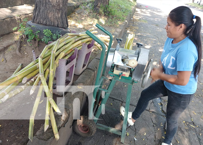 Foto: Jugo de caña, o guarapo, emprendimiento nuevo en Managua / TN8