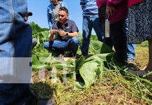 Foto: destacada actividad con productores del sector agropecuario /TN8