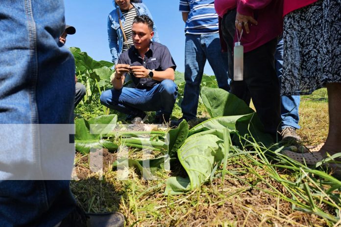 Foto: destacada actividad con productores del sector agropecuario /TN8